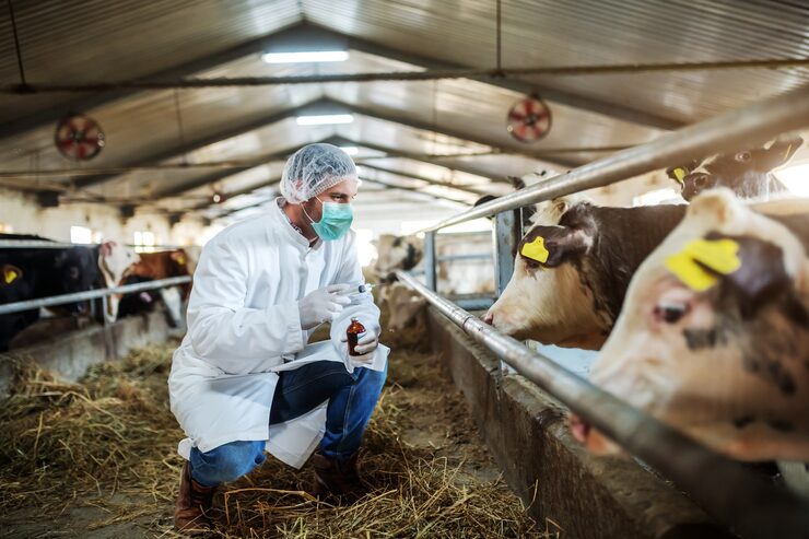 Advanced Animal Health Solutions