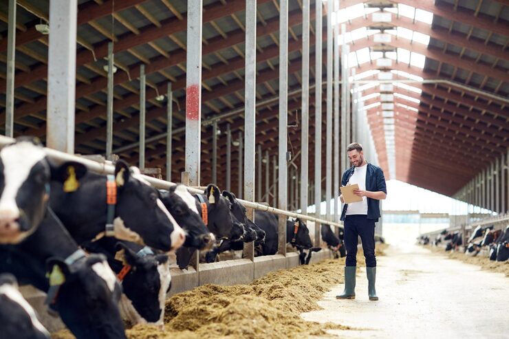 Customized Feed Plans